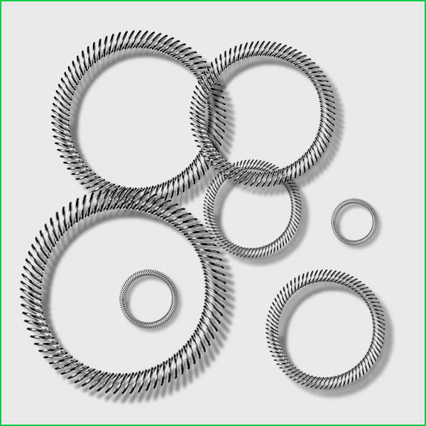 Canted Coil Spring